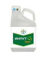 ИНПУТ