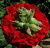 ред ай / red eye ред ай / red eye