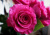 розбери / roseberry розбери / roseberry
