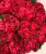 расберри элеганс - raspbery elegance расберри элеганс - raspbery elegance