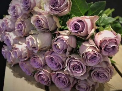 саманта бридал / samantha’s bridal