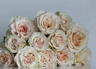 кантри спирит веддинг - country spirit wedding