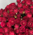 марун – maroon марун – maroon