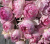 пинк ив пьяже - pink yves piaget пинк ив пьяже - pink yves piaget