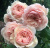 э шропшир лед / a shropshire lad э шропшир лед / a shropshire lad